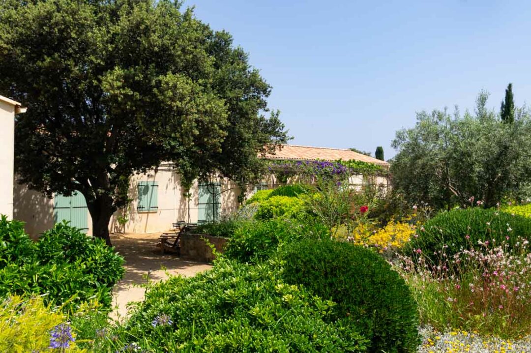 Visiter le Parc de Saleccia en Corse