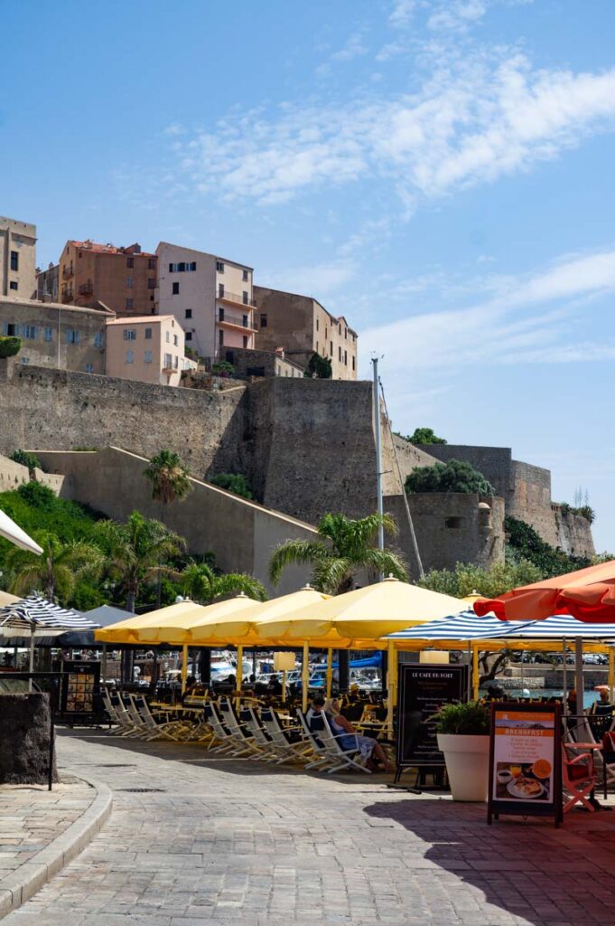 la citadelle de Calvi vue depuis le port