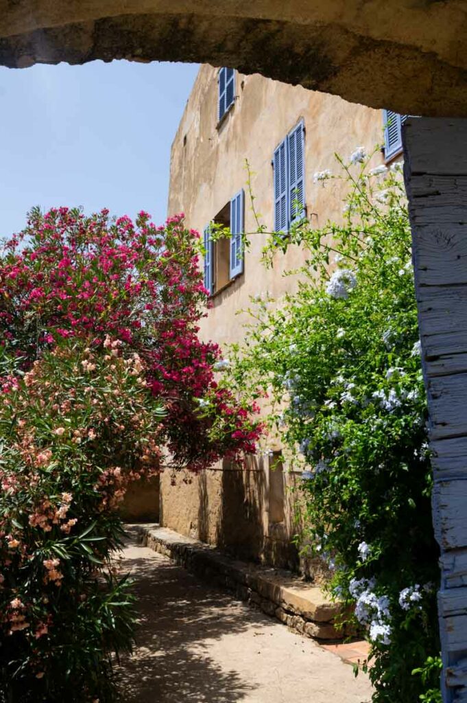 les ruelles du village de Pigna en Balagne