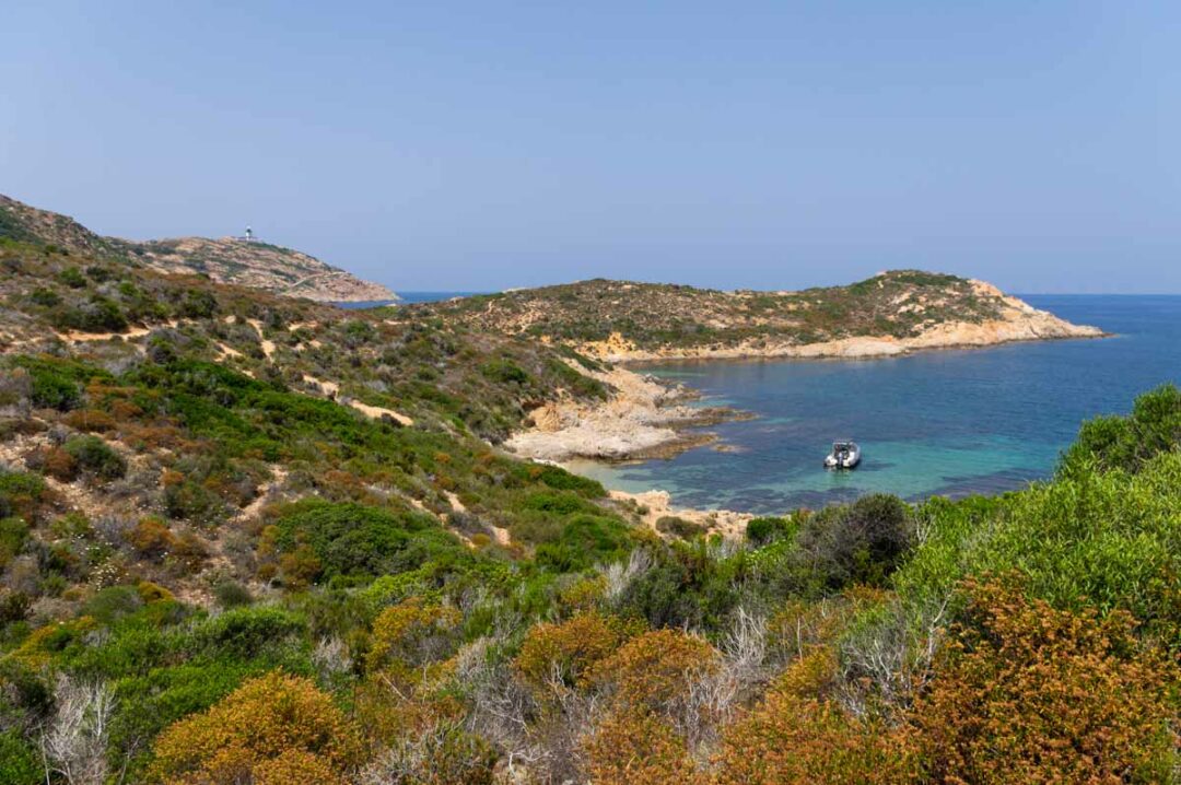 les criques où l'on peut se baigner sur la pointe de la Revellata