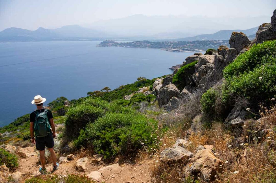 randonnée sur la pointe de la Revellata avec vue sur Calvi et sa baie