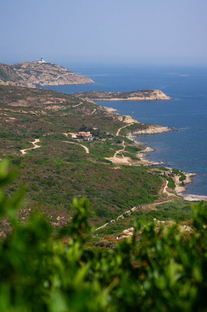 vue d'ensemble de la pointe de la Revellata