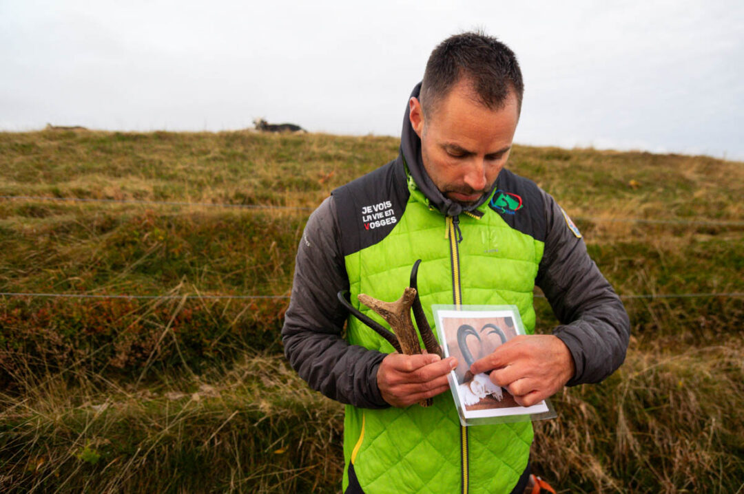 Observation des Chamois avec Rando Maxcimes