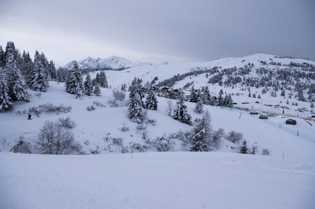 les saisies en hiver