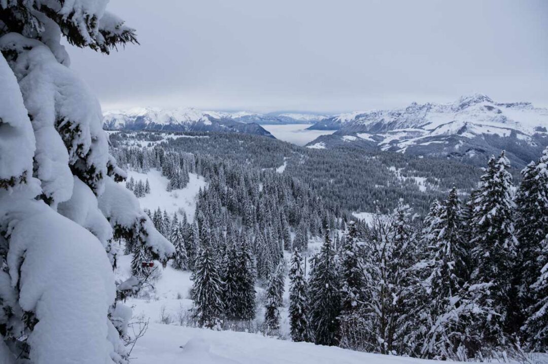 Panorama sur les Alpes enneigées depuis la station des Saisies