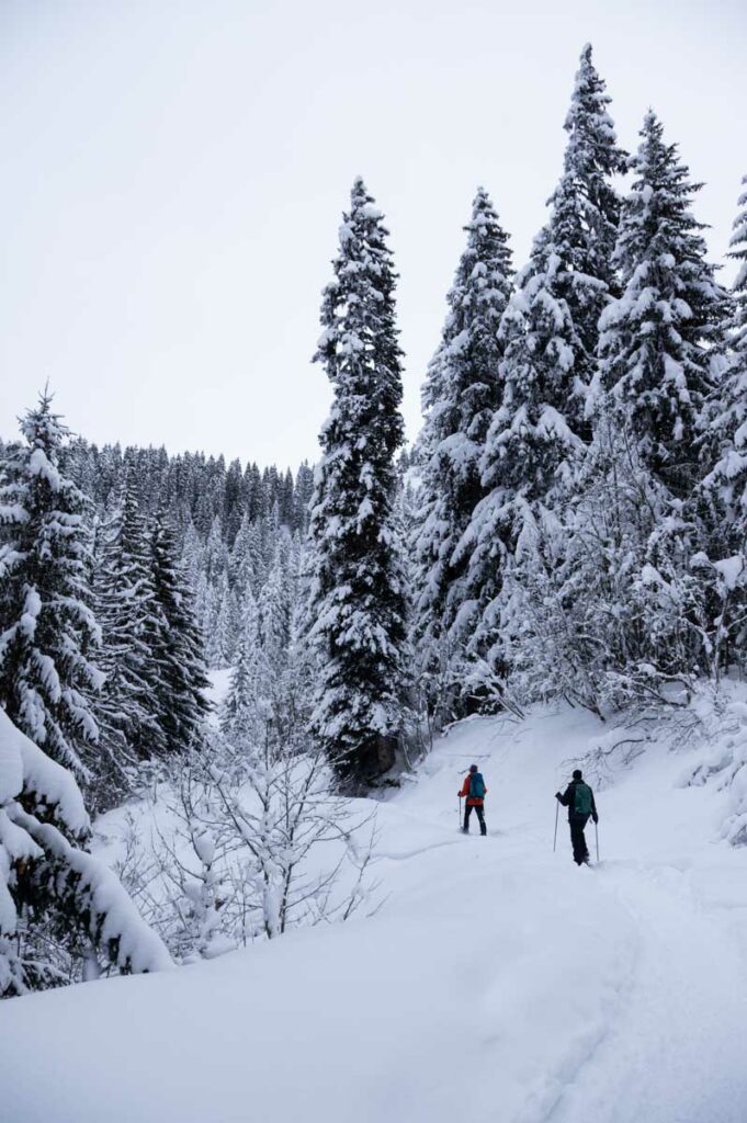 Balade en raquette au Chard du Beurre - les Saisies