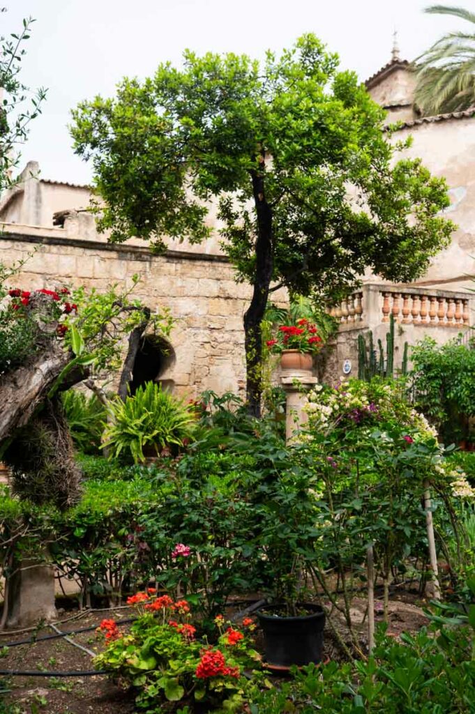 les jardins des Bains Arabes de Palma de Majorque
