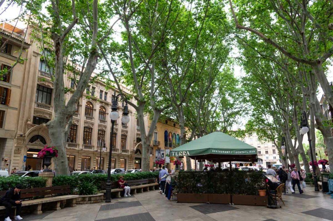 Passeig del Born à Palma de Majorque