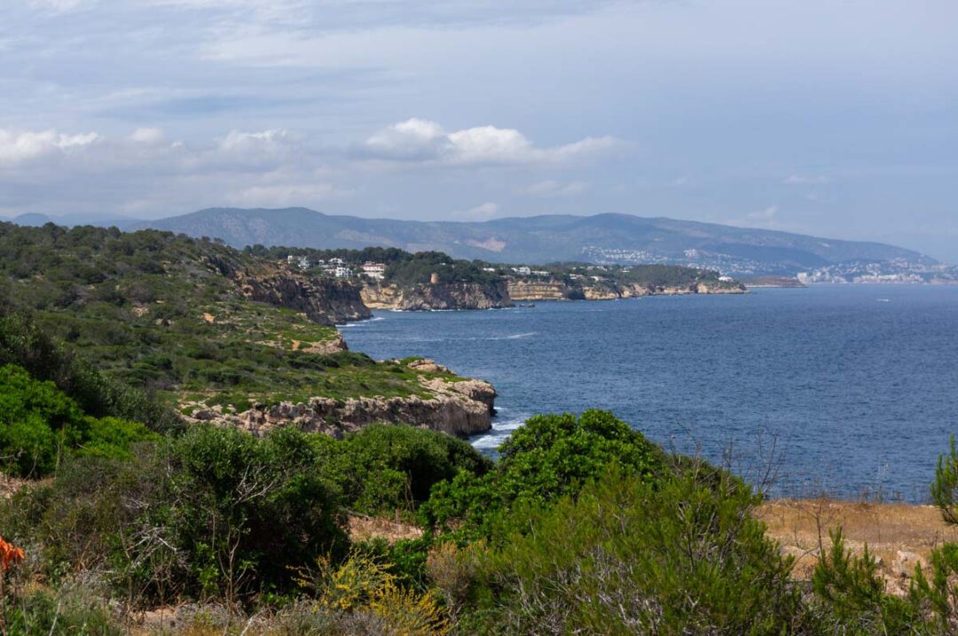 le littoral de la Baie de Palma entre entre Portals Vells et Cala Figuera