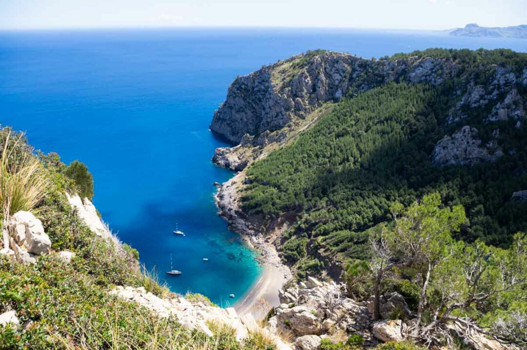 vue plongeante sur la crique sauvage Platja de Coll Baix à Majorque
