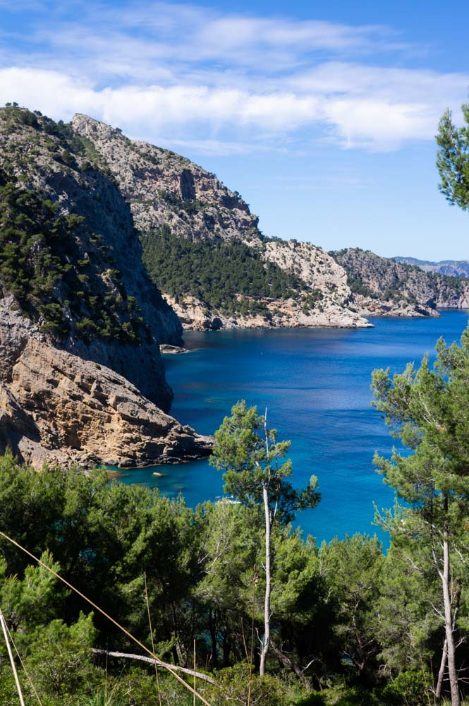 le long du chemin de randonnée pour descendre à la platja de Coll Baix