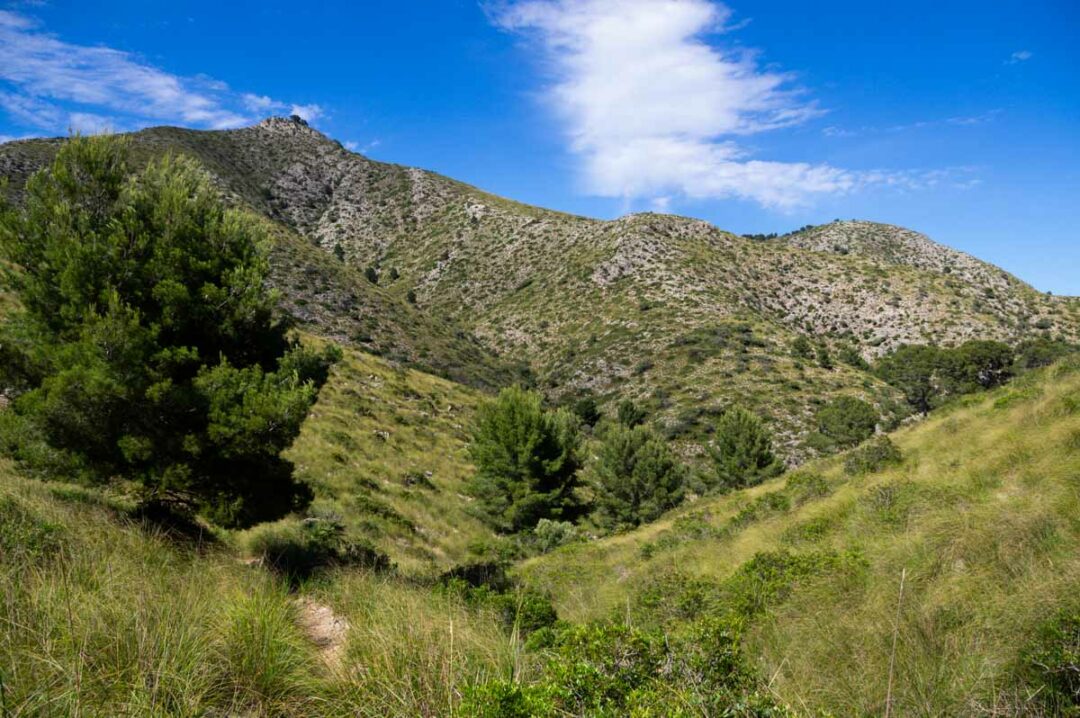 Panorama sur la colline Talaia d'Alcudia sur le chemin du retour
